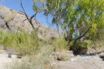 Big Bend Photos