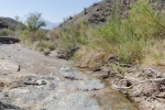 Big Bend Photos