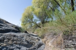 Big Bend Photos
