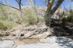 Big Bend Photos