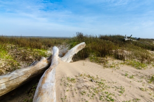 Bryan Beach-Brazoria County, Texas