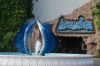 Aquarium Restaurant