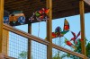 Kemah Center