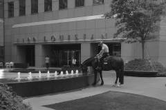 Street Photography collection in black and white
