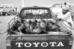 Street Photography collection in black and white