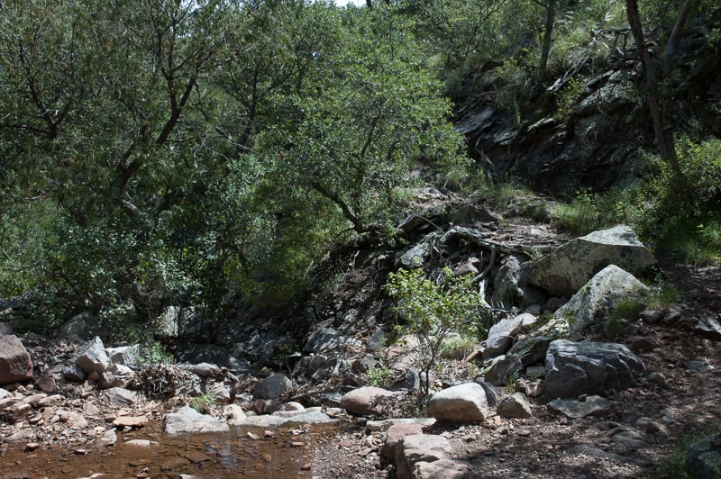 Big Bend Summer 2009 - Last Day