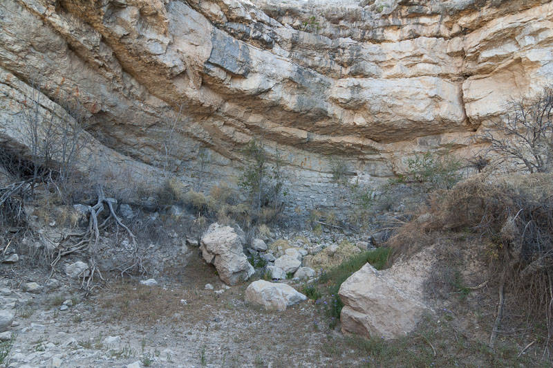 Big Bend Photos