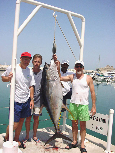 Yellowfin tuna