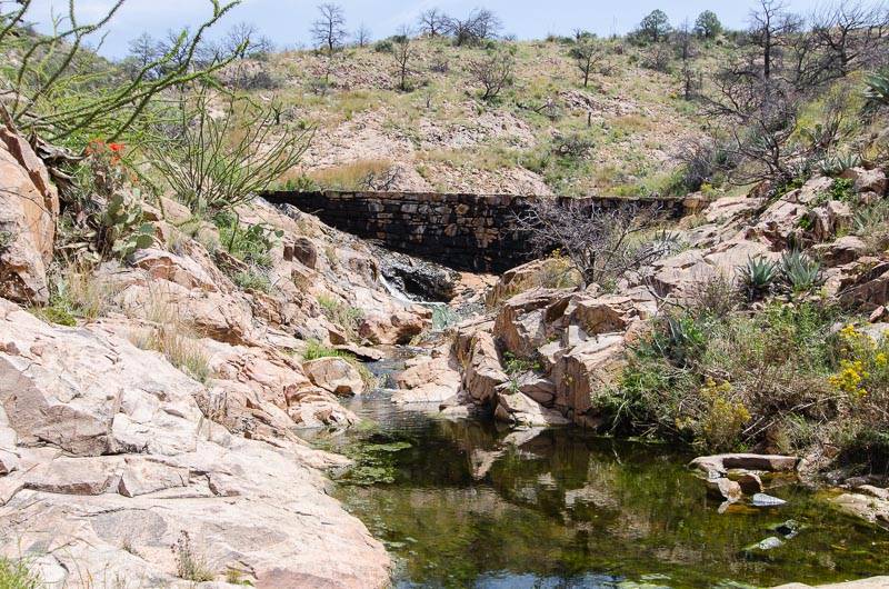 Cattail Canyon Summer Hike