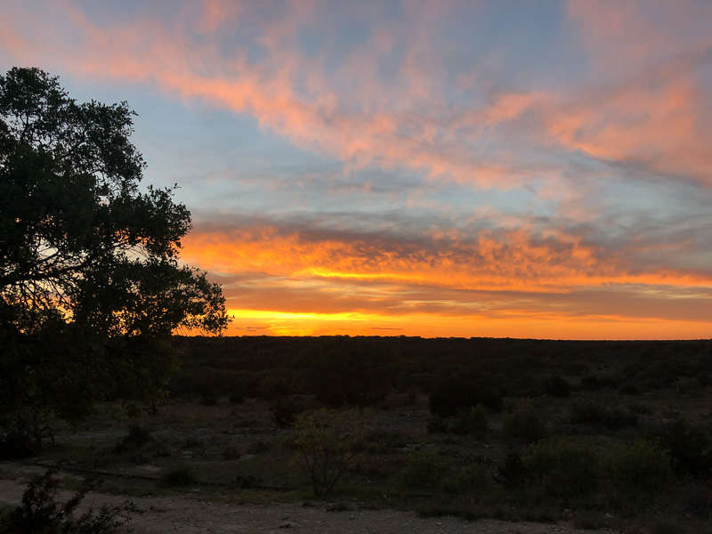Sonora Sunset