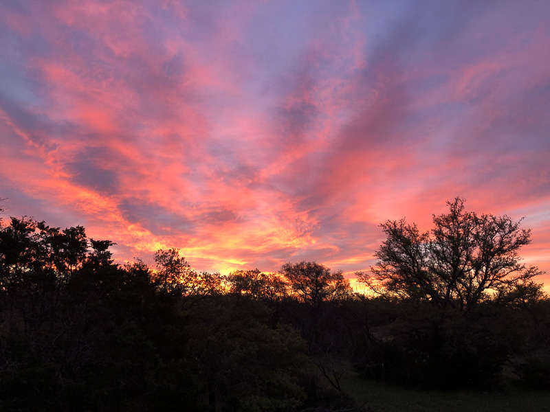 Sonora Sunset