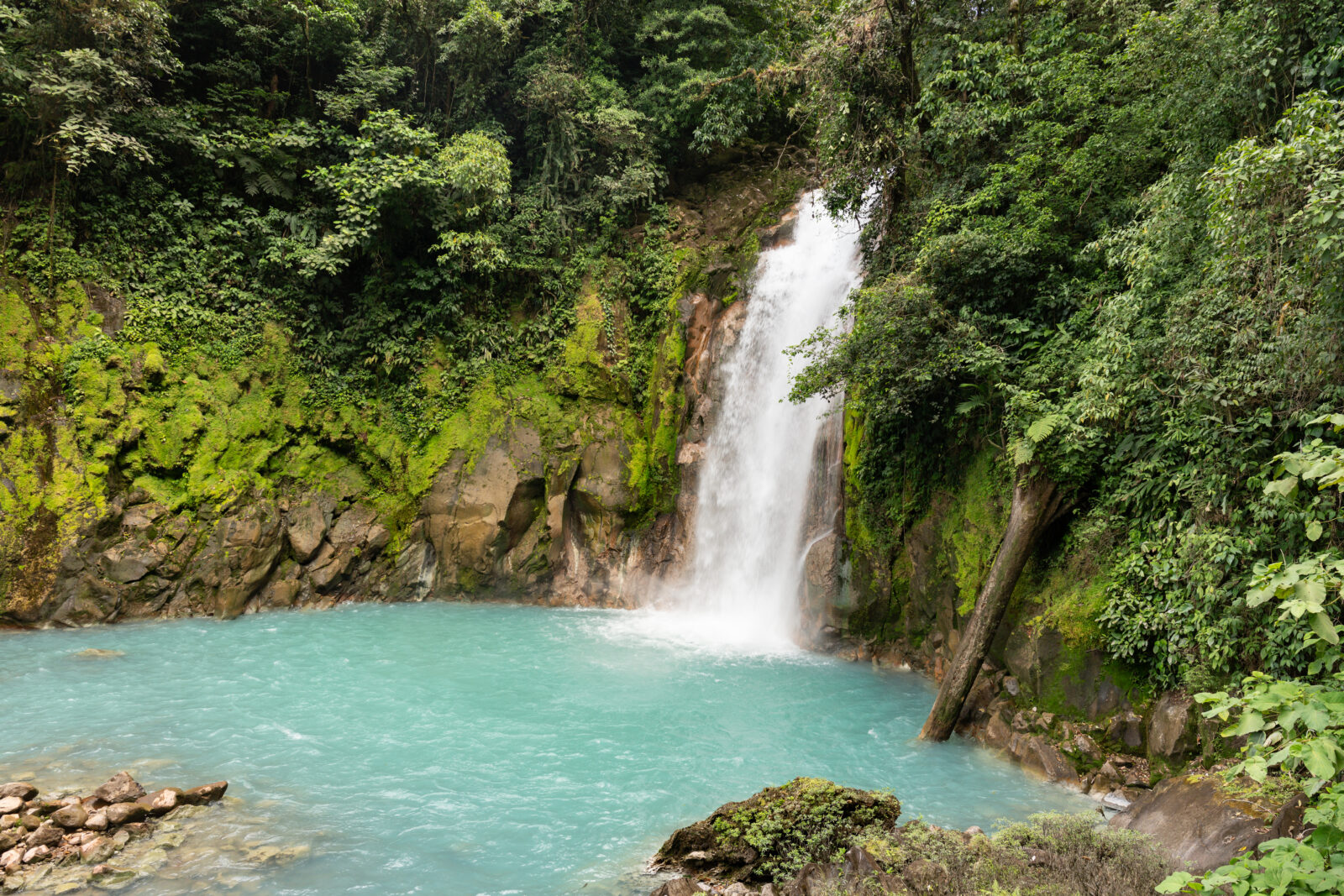 Texans in Costa Rica