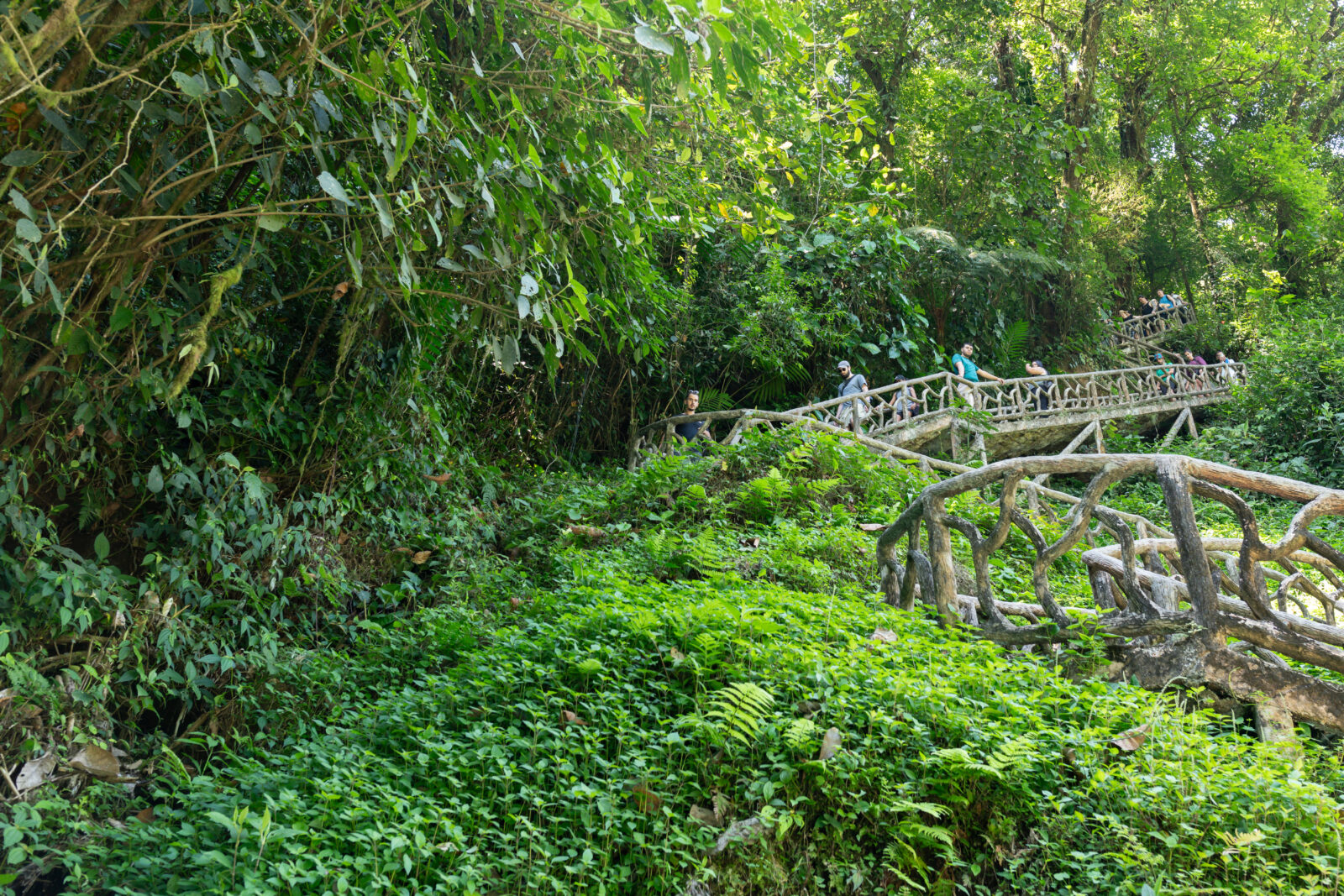 Texans in Costa Rica