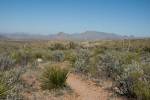Big Bend Photos