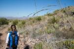 Big Bend Photos