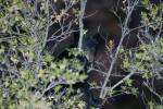 Big Bend Photos