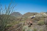 Big Bend Photos