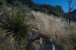 Big Bend Photos