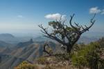 Big Bend Photos