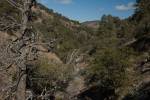Big Bend Photos