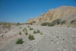 Big Bend Photos