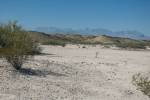 Big Bend Photos