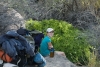 Big Bend Photos