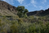 Big Bend Photos