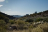 Big Bend Photos