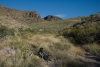 Big Bend Photos