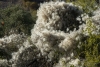 Big Bend Photos