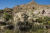 Big Bend Photos