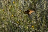 Big Bend Photos