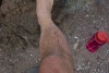 Big Bend Photos