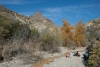 Big Bend Photos