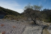 Big Bend Photos