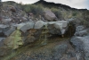 Big Bend Photos