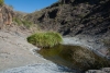 Big Bend Photos