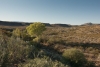 Big Bend Photos