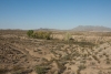Big Bend Photos