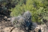 Big Bend Photos