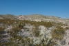 Big Bend Photos