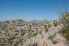 Big Bend Photos