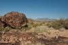 Big Bend Photos
