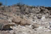 Big Bend Photos