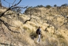 Big Bend Photos