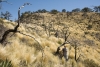 Big Bend Photos