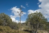 Big Bend Photos