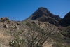 Big Bend Photos