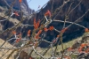 Big Bend Photos